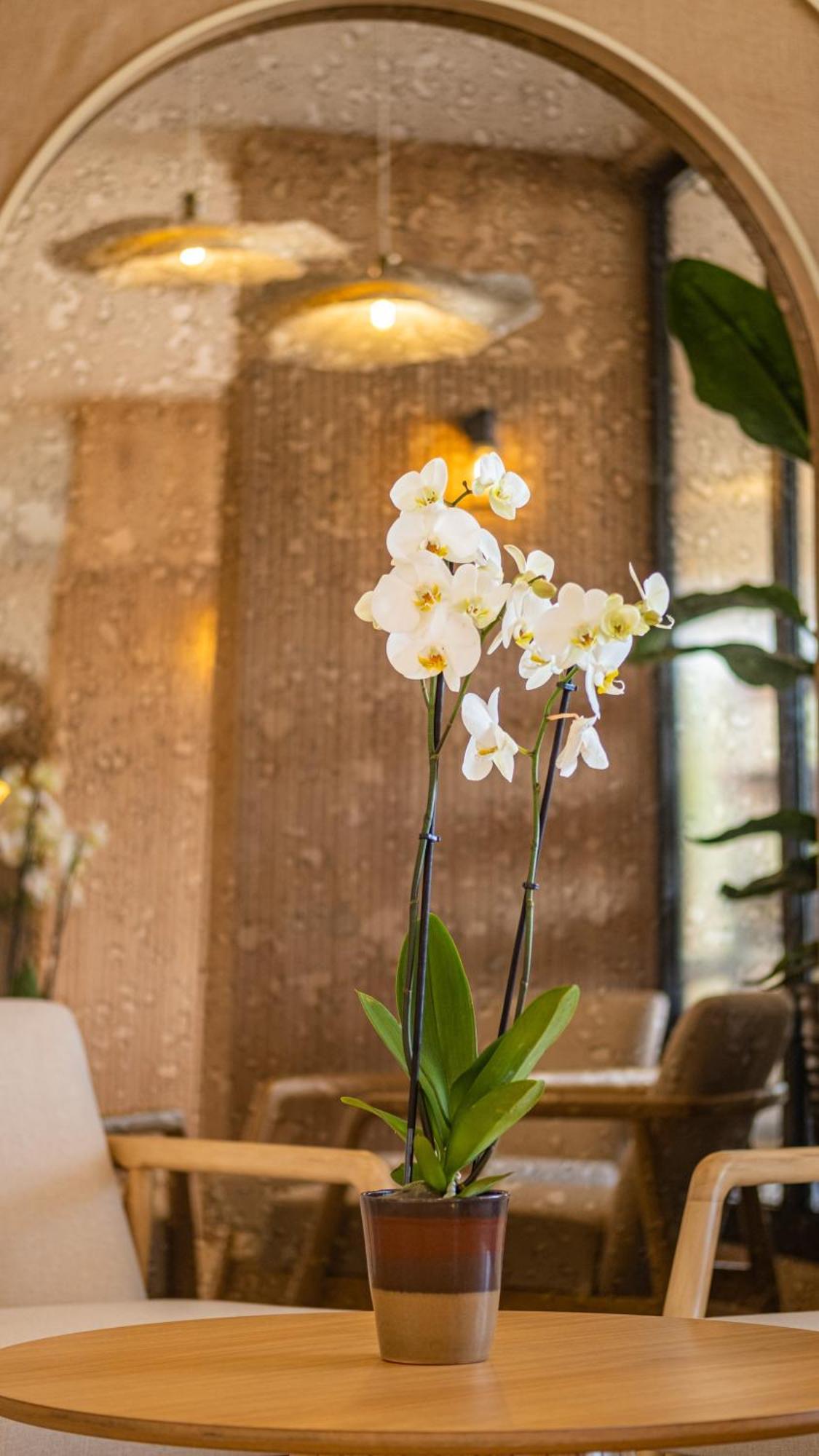 Hotell Heritage By Cimen 3*